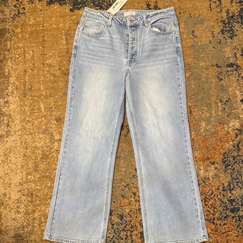 78 & Sunny Braylon Straight Leg Jeans in Lakeside size 12